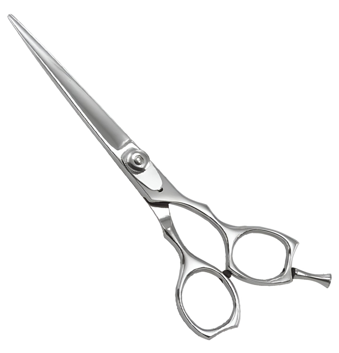 Professional Razor Scissor