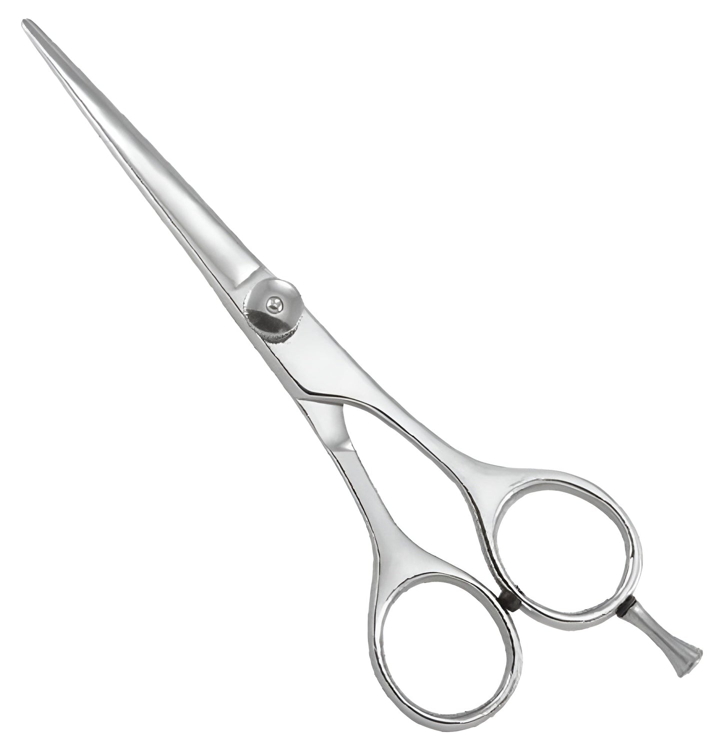 Professional Razor Scissor