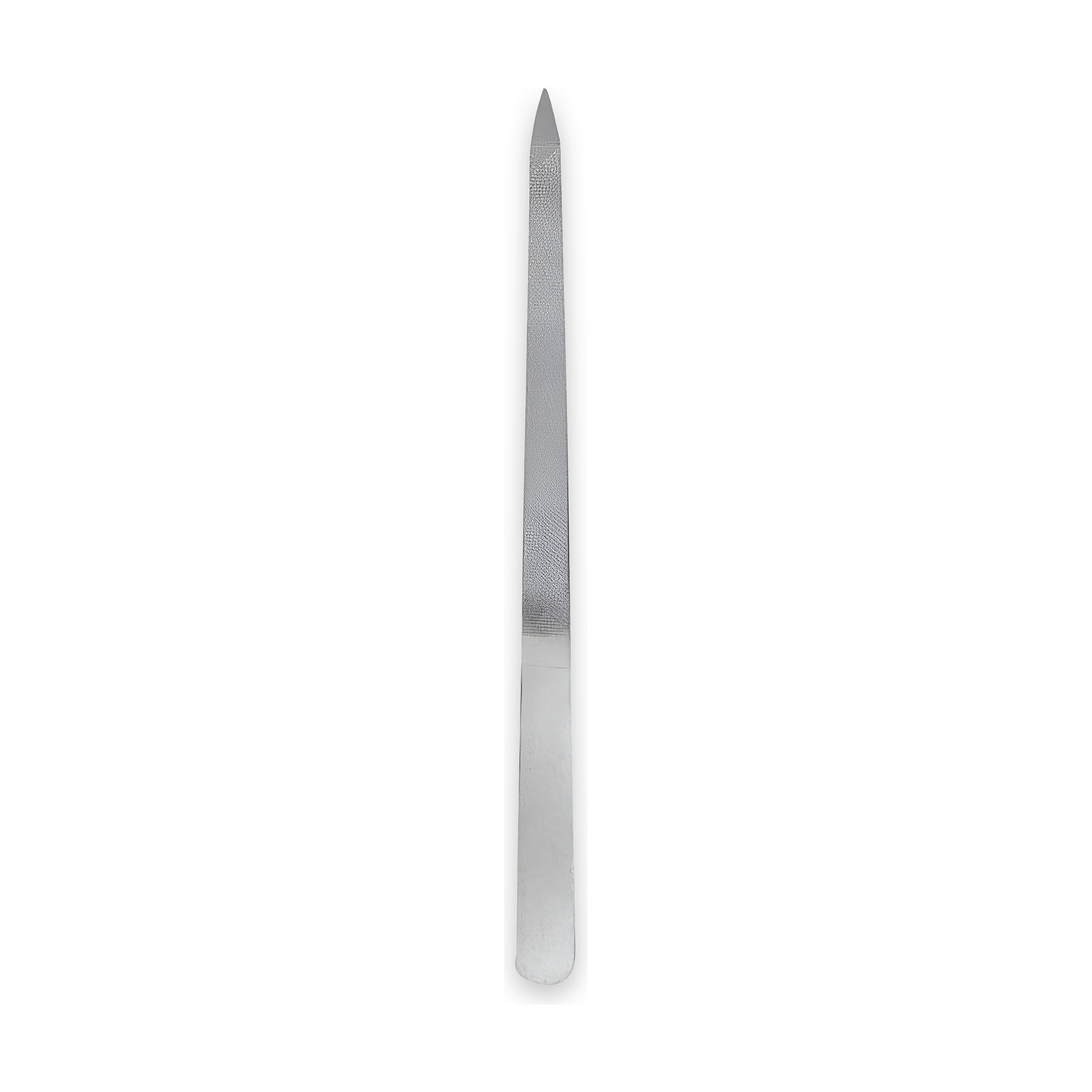 Pointed Stainless Steel Foot File