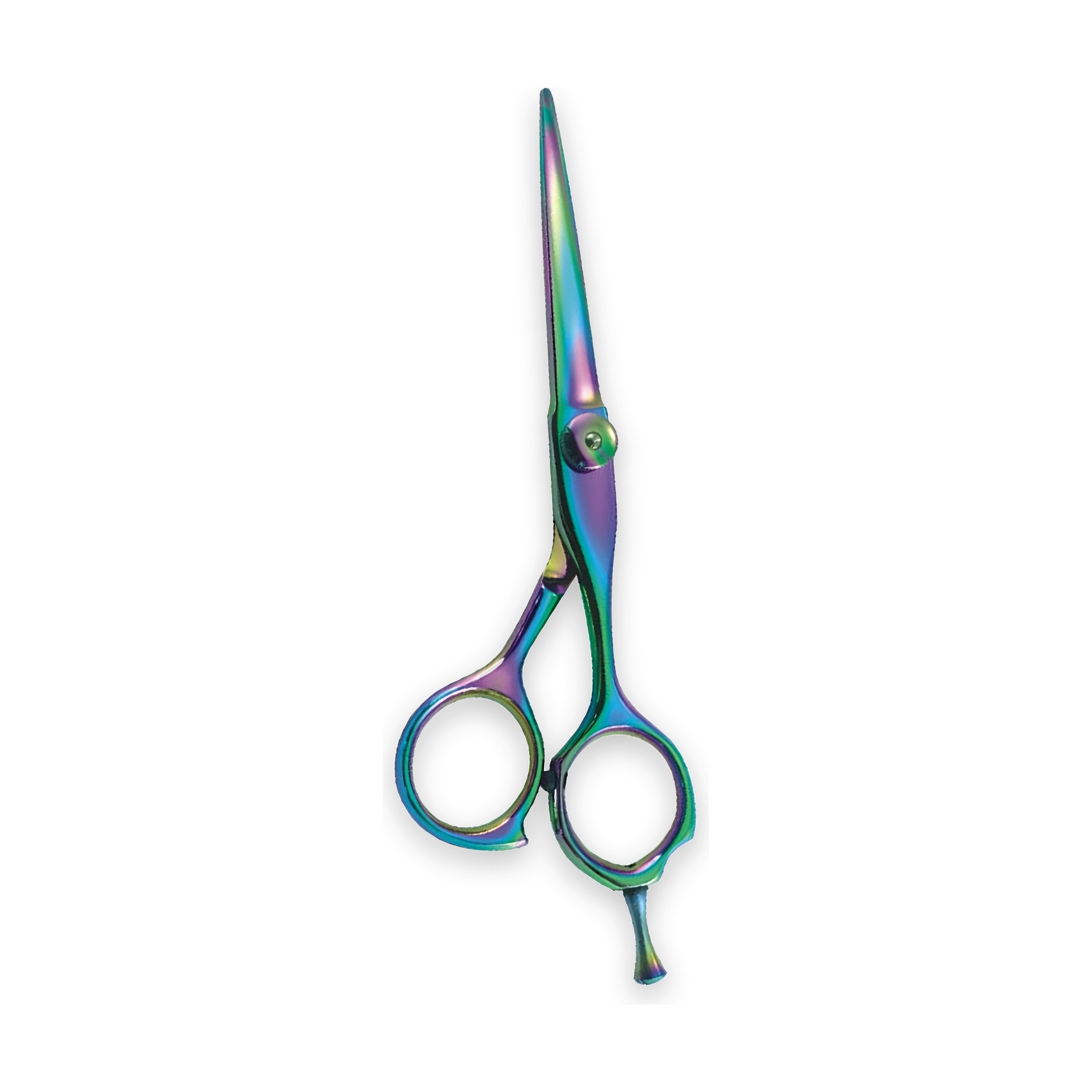 Everyday Rainbow Titanium Cutting Shears