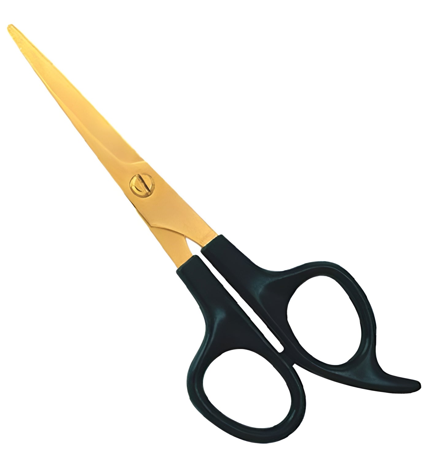 Plastic Handle Scissor