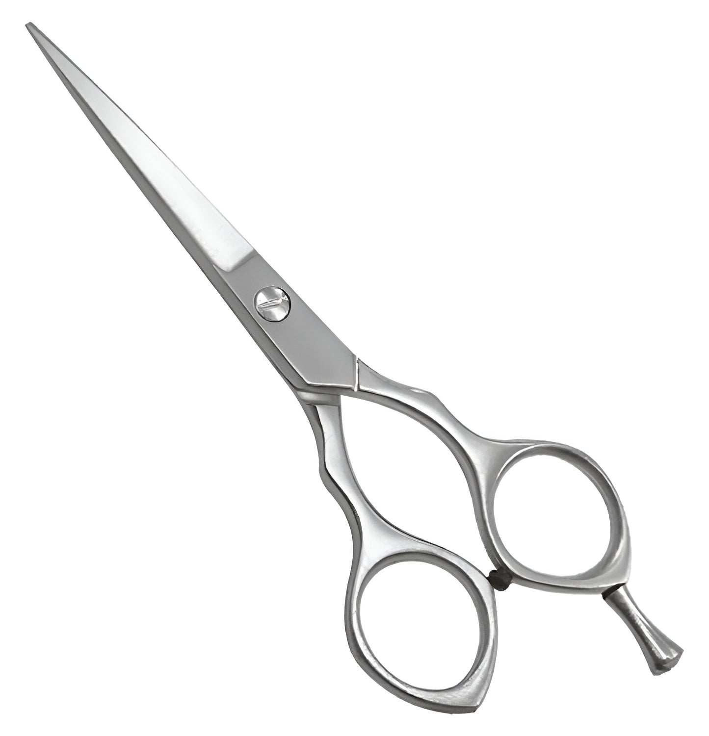 Professional Barber Shears