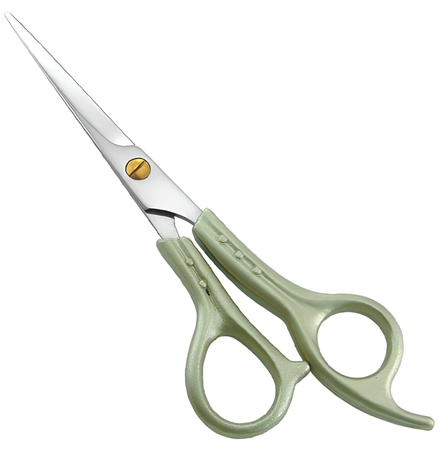 Plastic Handle Scissor