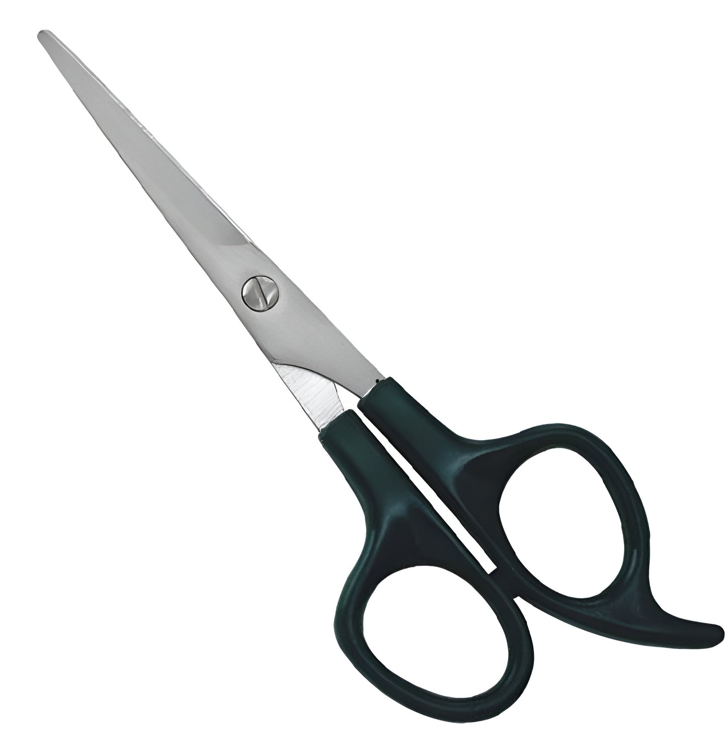 Plastic Handle Scissor