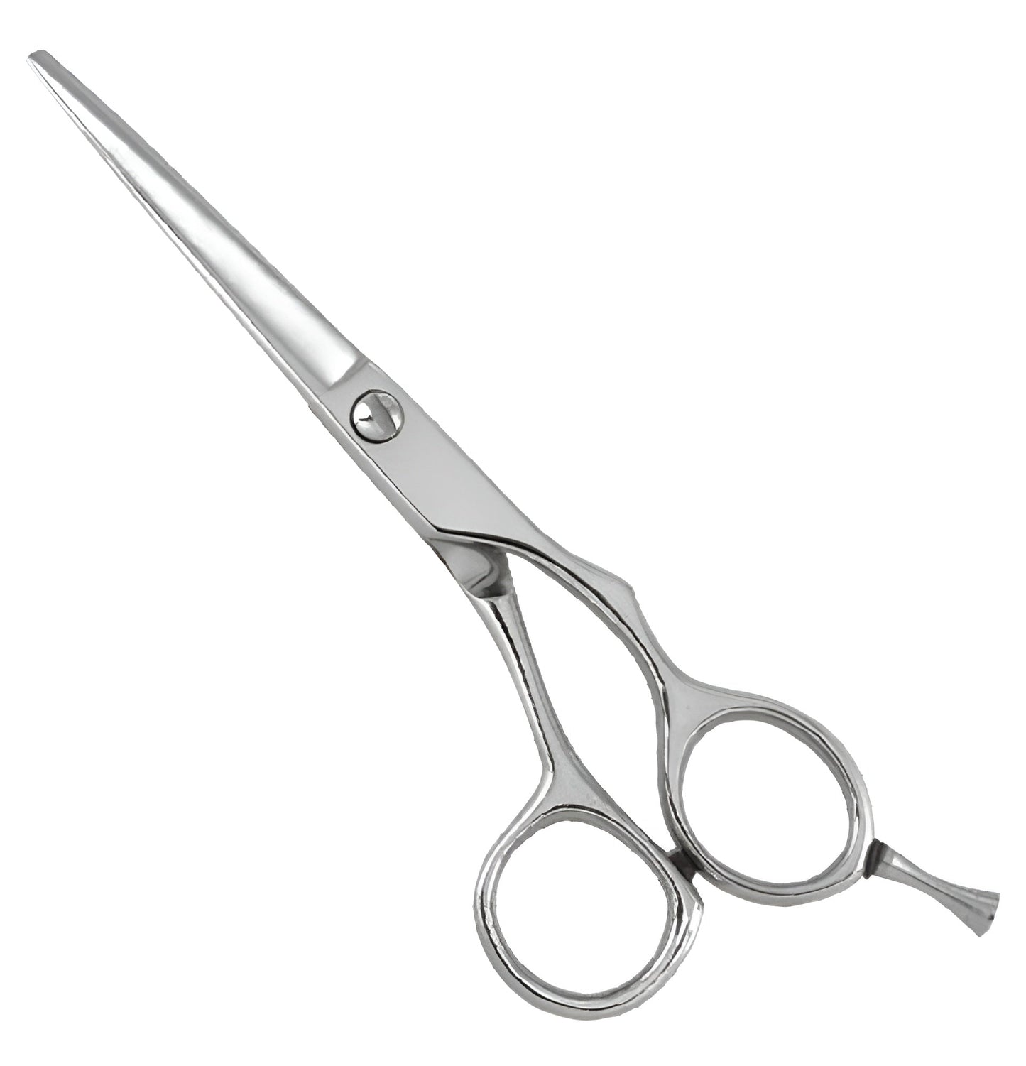 Professional Razor Scissor