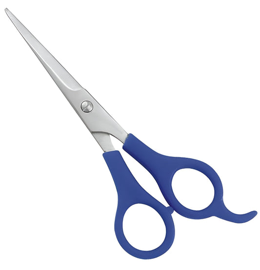 Plastic Handle Scissor