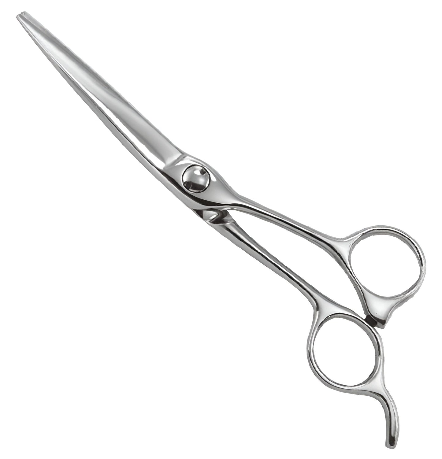 Professional Razor Scissor