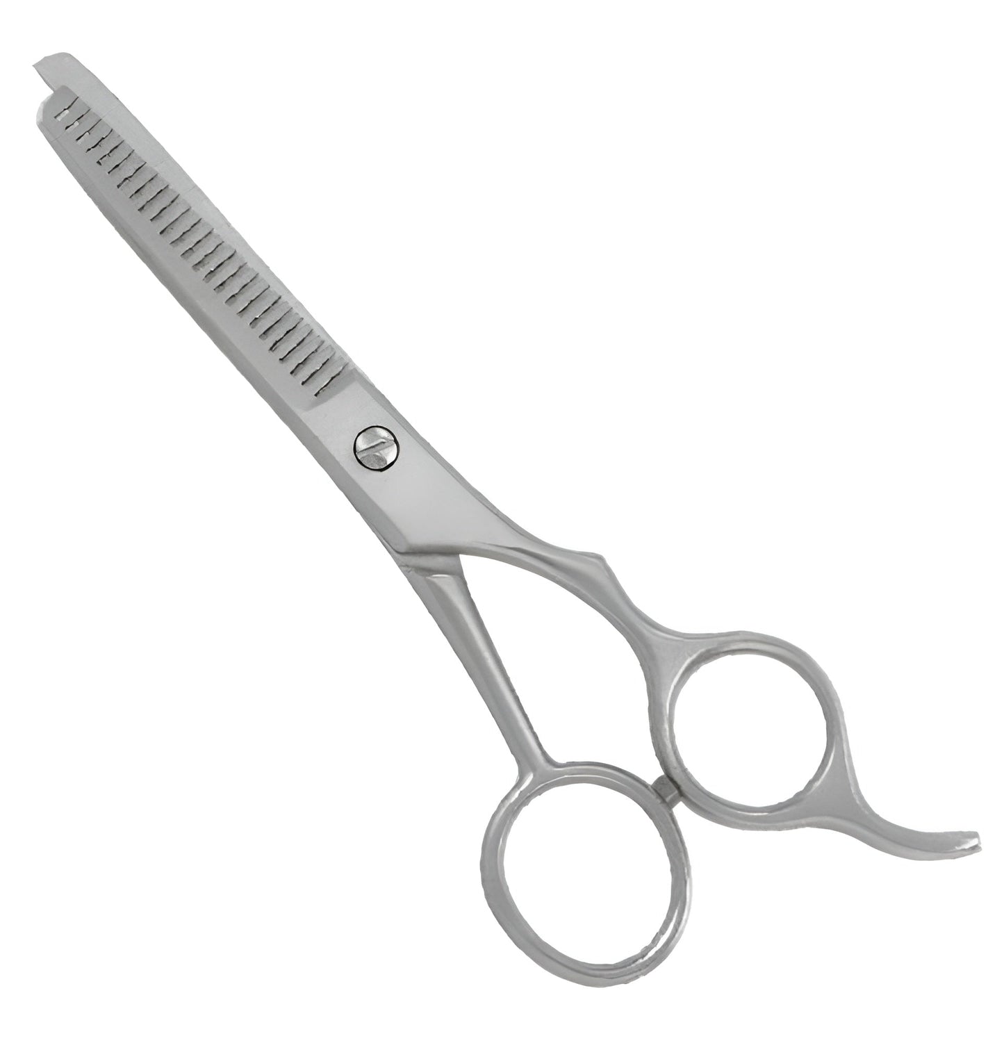 Professional Barber Shears