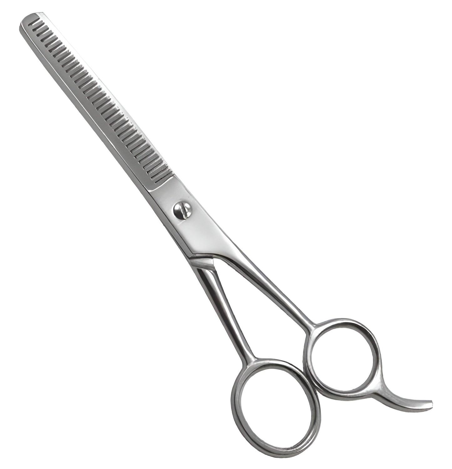 Professional Barber Shears