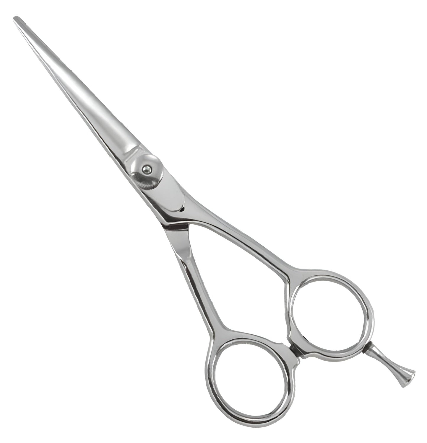 Professional Razor Scissor