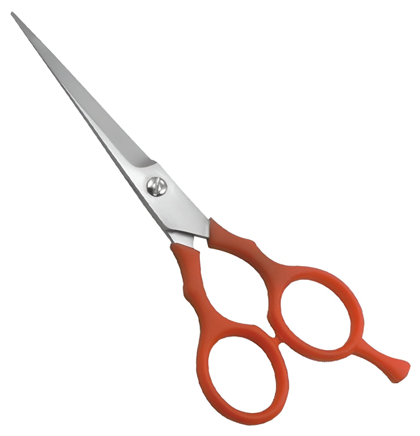 Plastic Handle Scissor