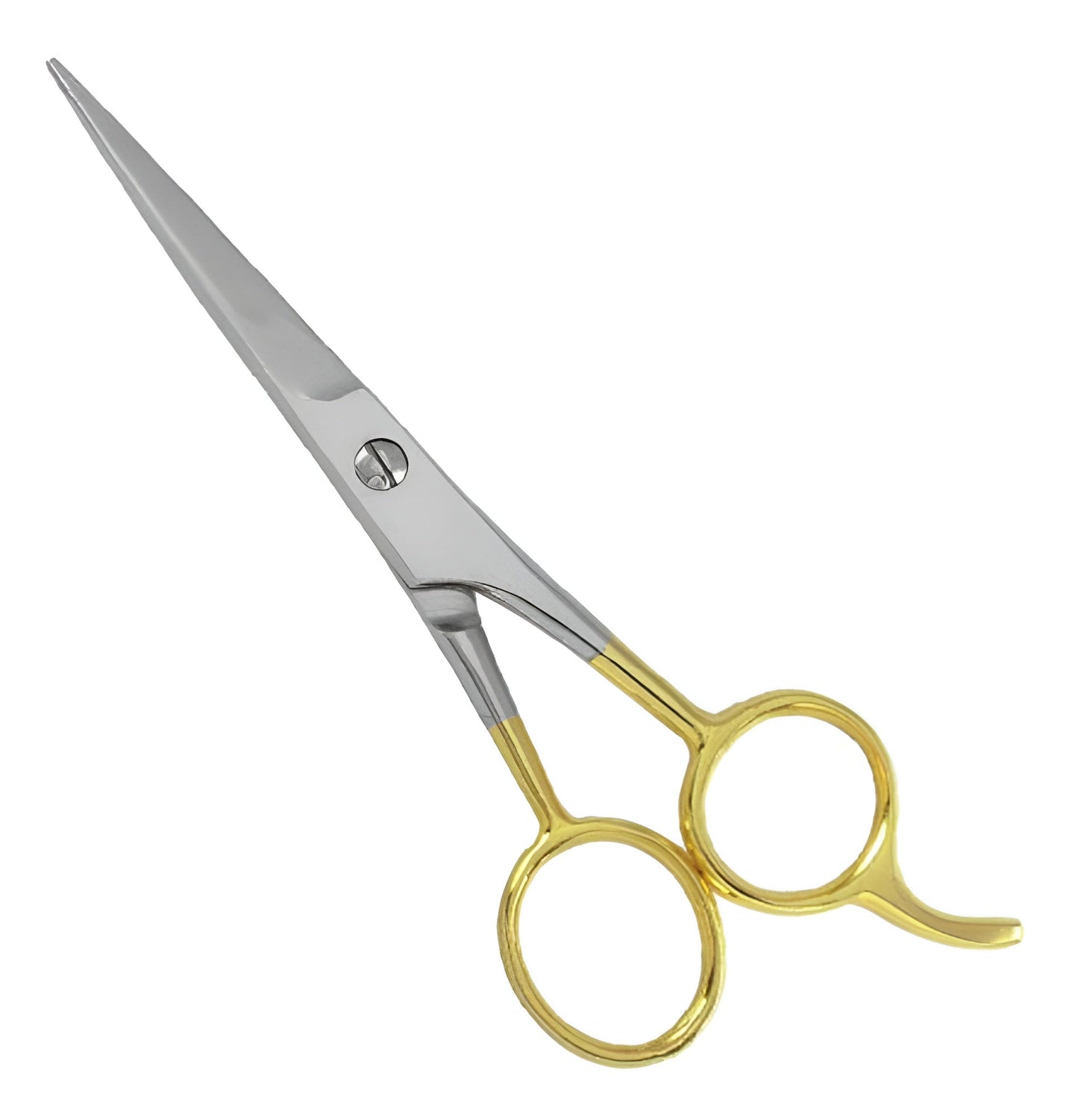 Professional Barber Shears