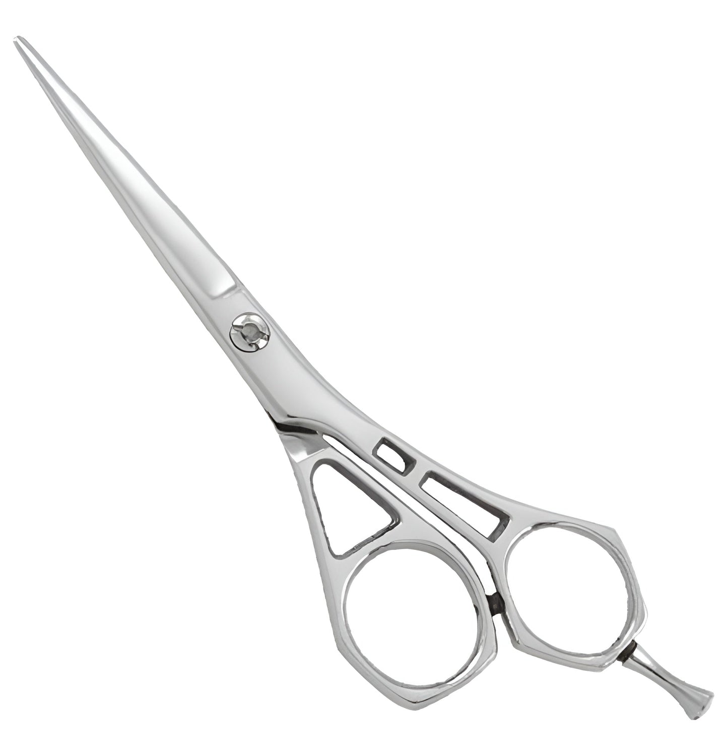 Professional Razor Scissor