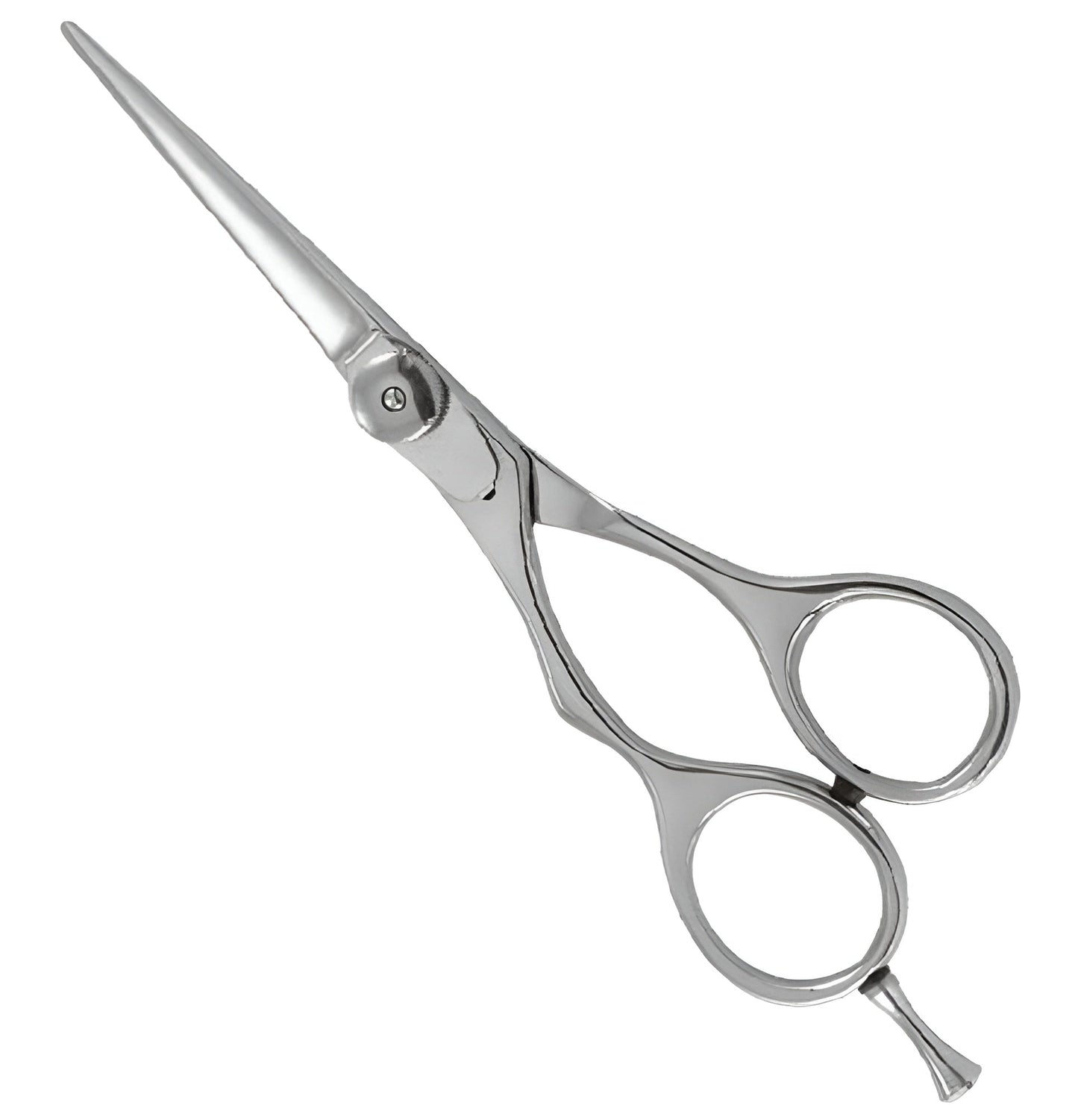 Professional Razor Scissor