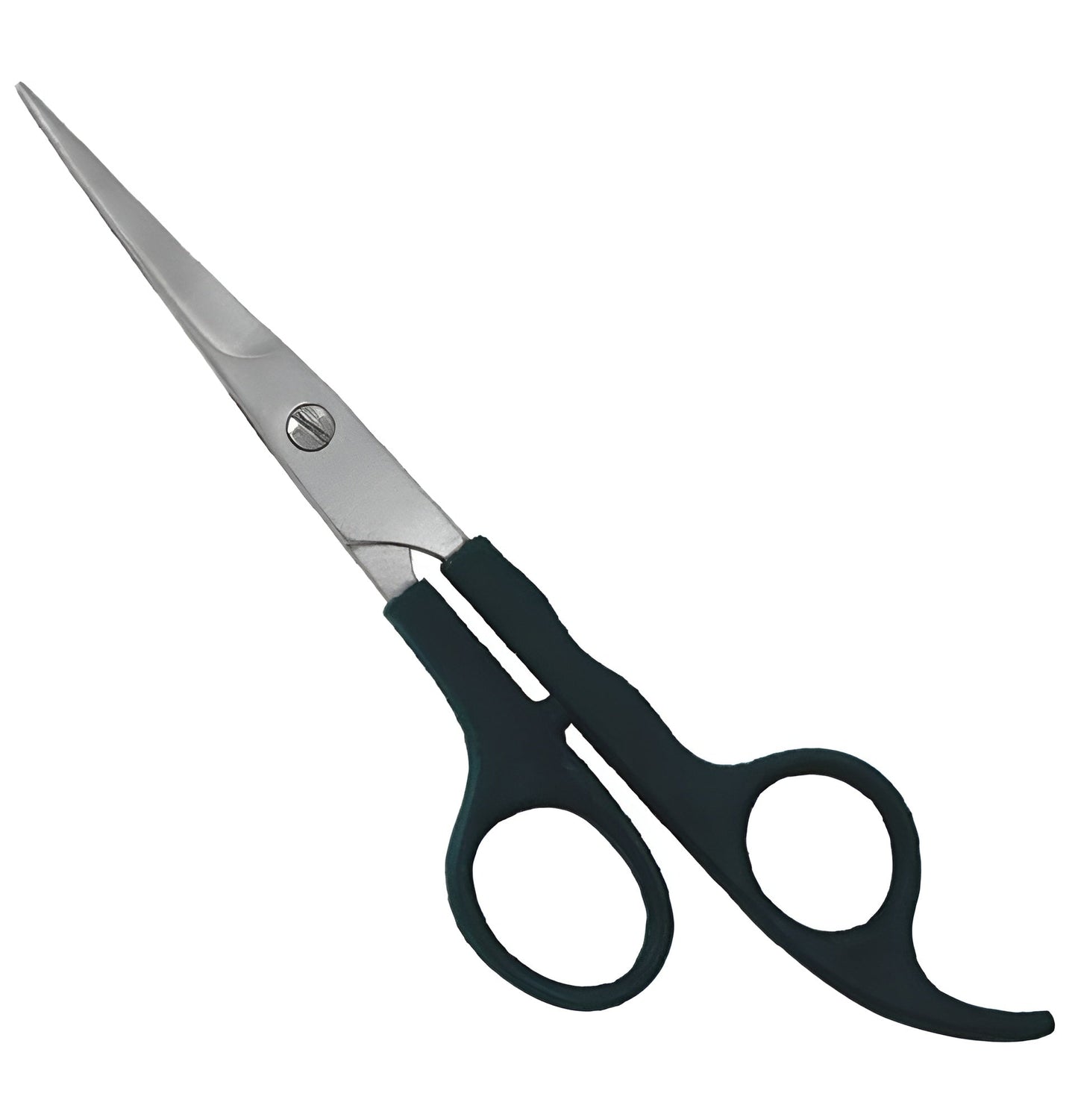 Plastic Handle Scissor