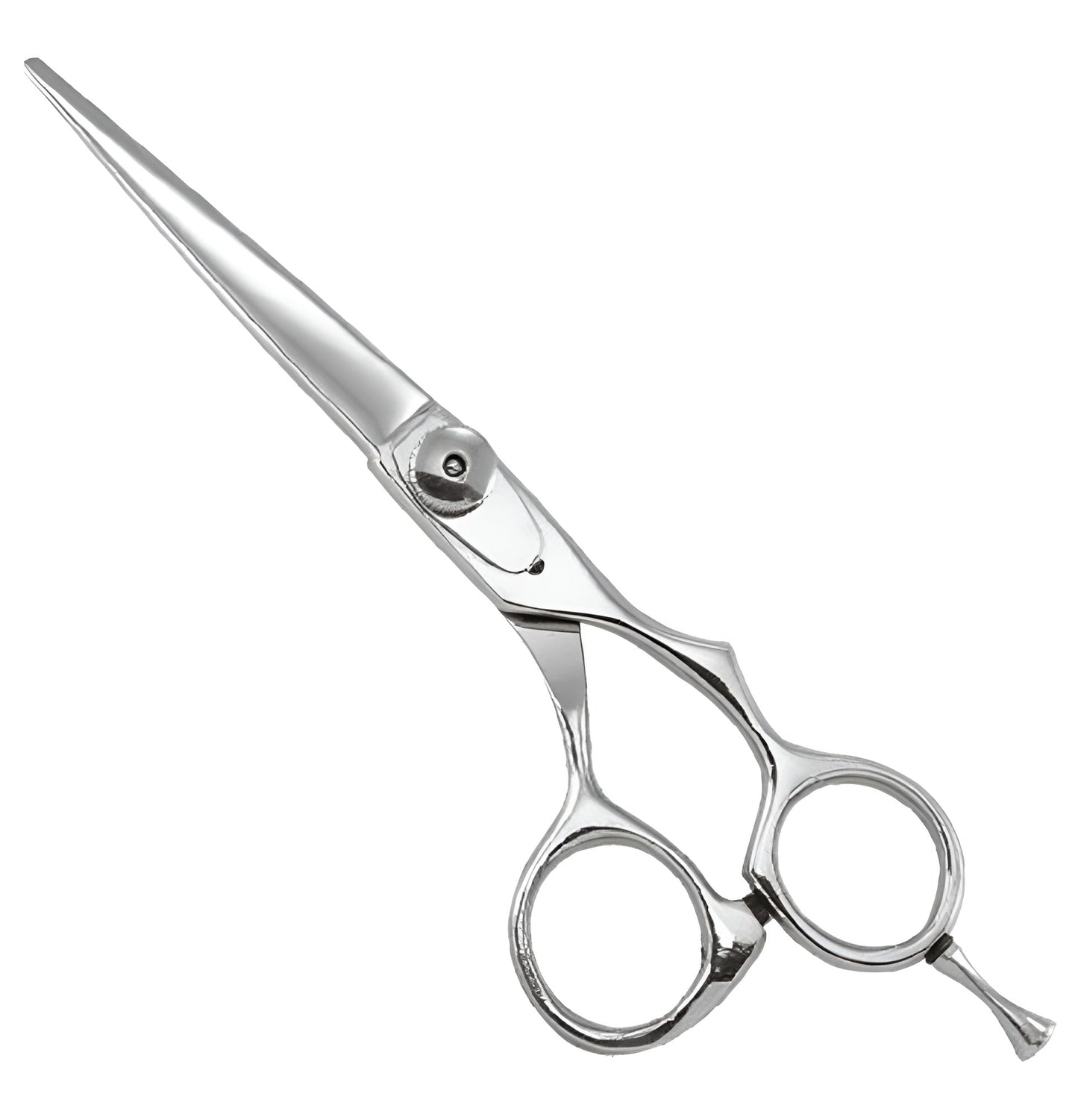 Professional Razor Scissor