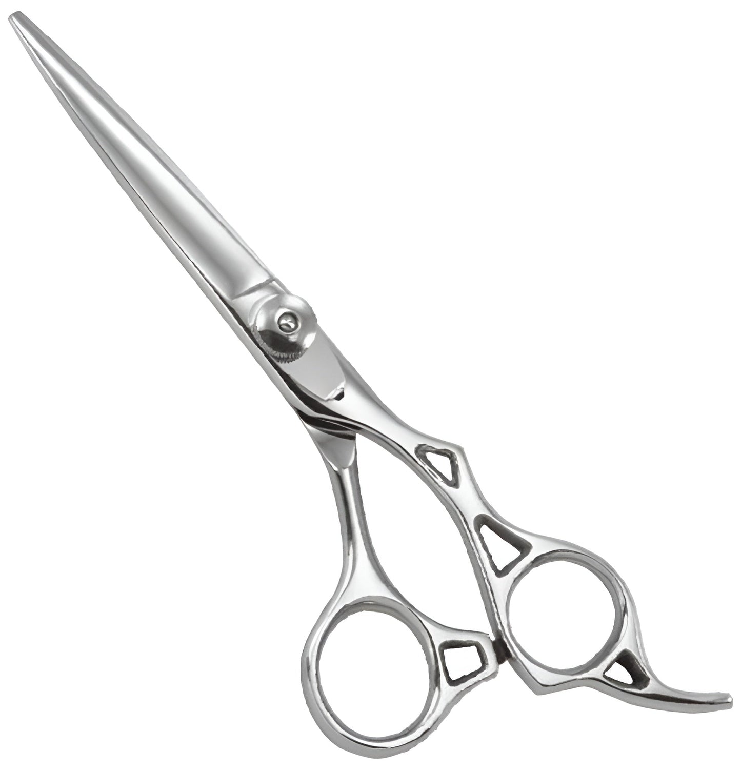 Professional Razor Scissor